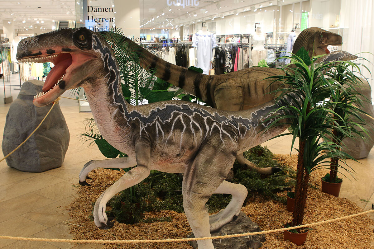 Dino-Exponat Velociraptor