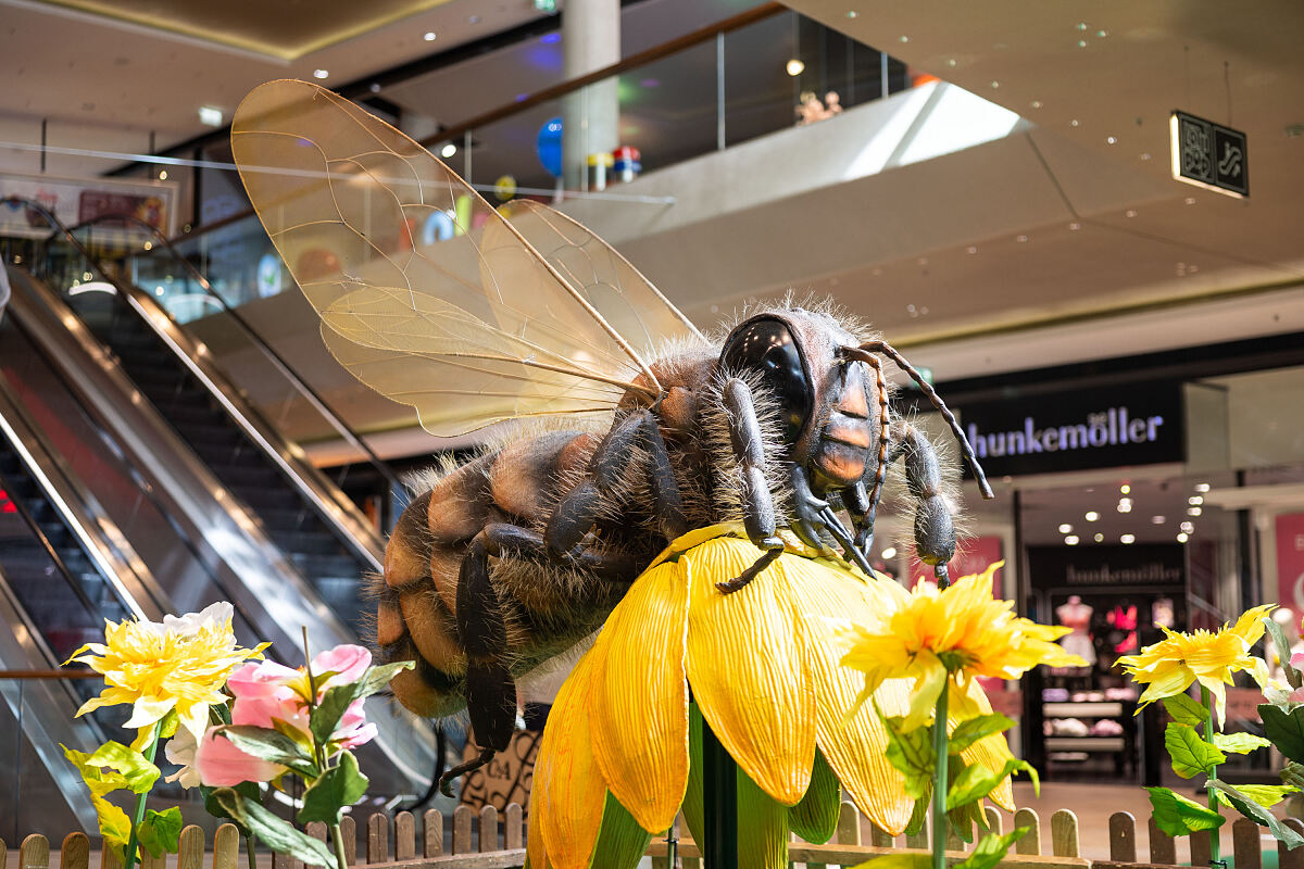 Bild 1: Bienen-Ausstellung